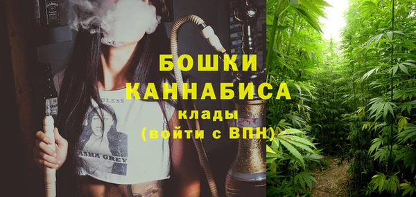 молекула духа Балабаново